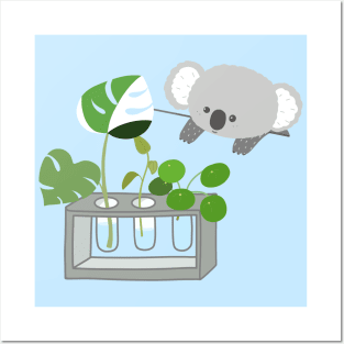 Plant Therapy - Koala-ity Props Posters and Art